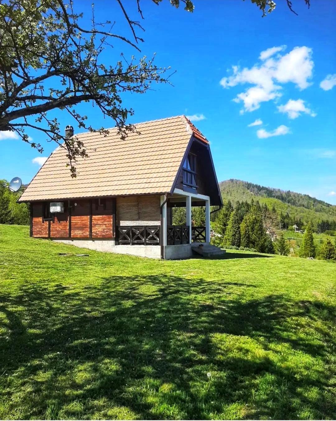 Planinska Kuca Olga-Tara Villa Bajina Basta Exterior photo